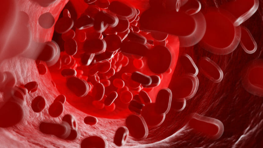 Illustration of human blood cells